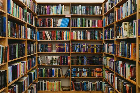 How Many Books Do You Need to Have a Library? A Discussion on the Essence of Libraries