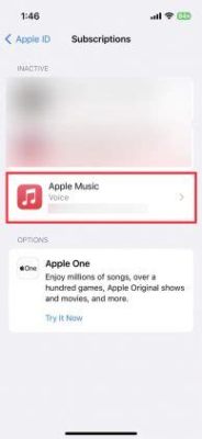 how to cancel my apple music subscription and explore the benefits of using a music streaming service in different cultural contexts